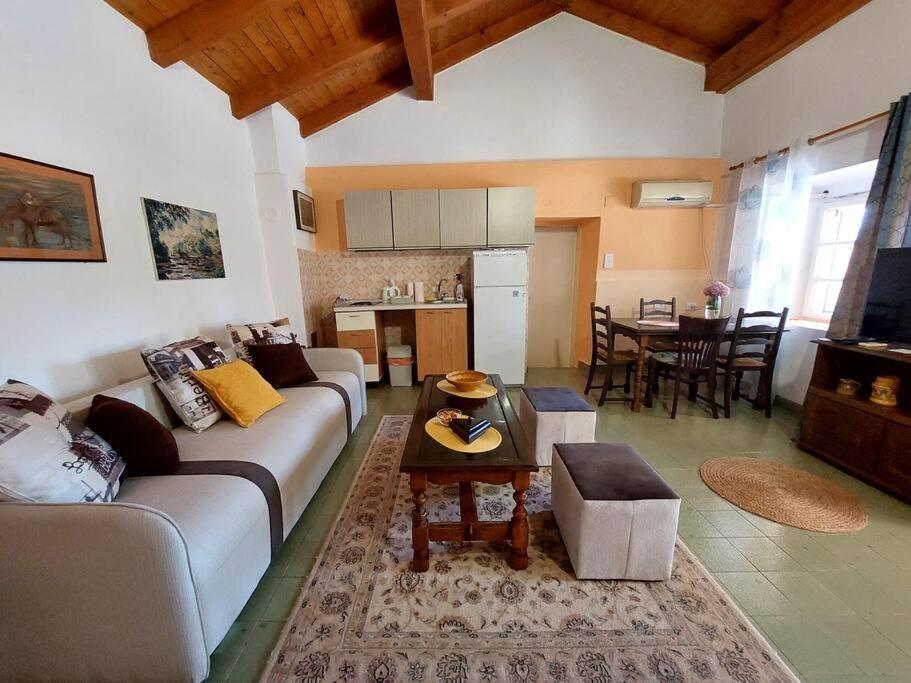 Apartman Boljevic Podgorica Buitenkant foto