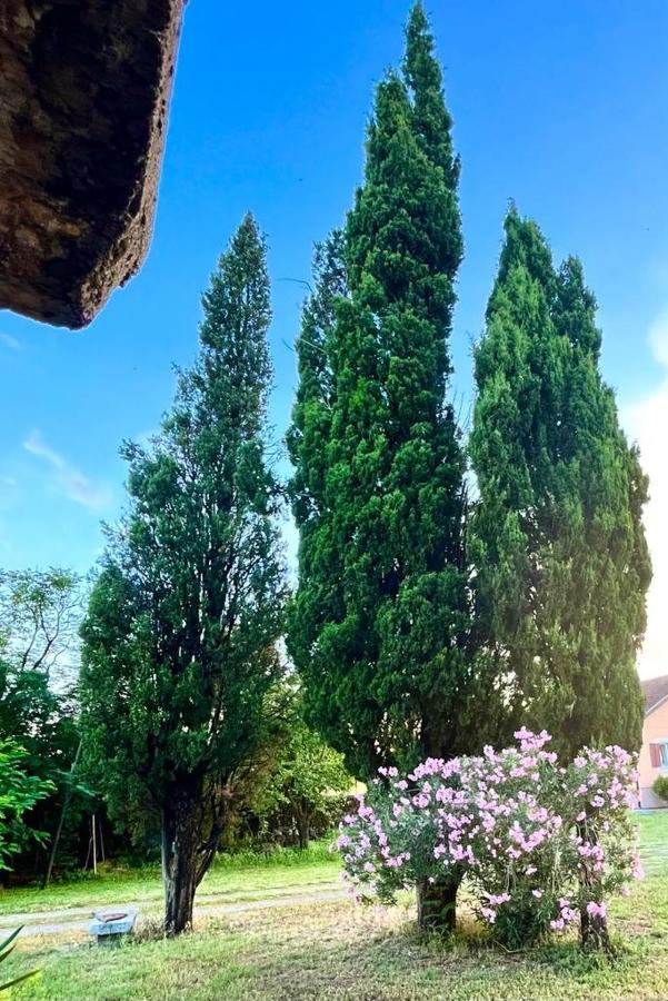 Apartman Boljevic Podgorica Buitenkant foto